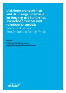 Mercator Gutachten Diversitat pdf 212x300